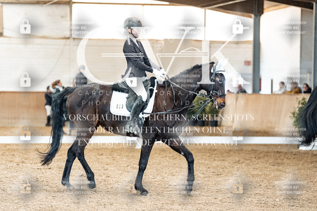 CK900316 | Turnierfotografie Pferdefotografie Trier Rheinland-Pfalz Pferdesport Reitsport Tierfotografie Sportfotografie Pferdevideo Pferdevideografie Equestrianvideography equestrianphotography  - Realized with Pictrs.com