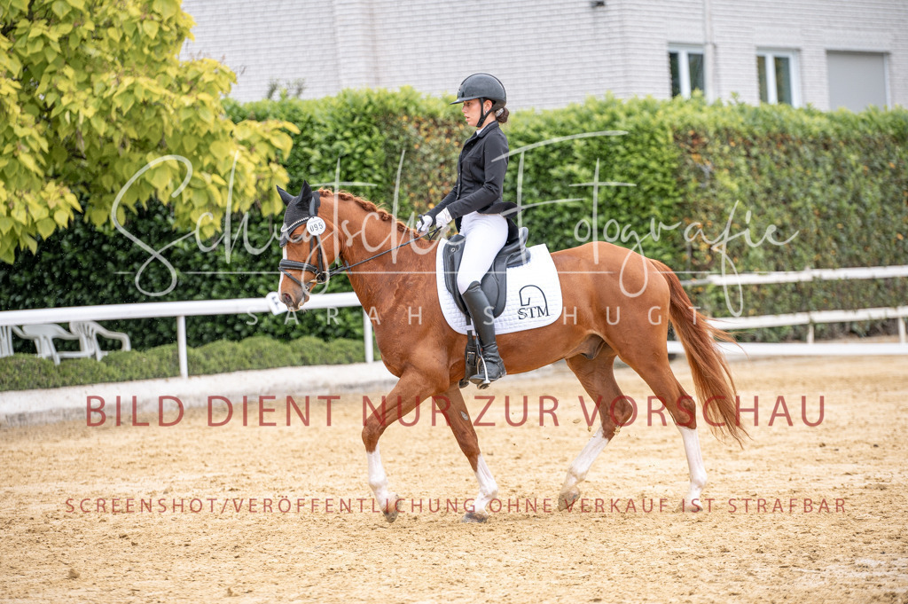 Schugtsche-Aluta25-41.Amat-Dressurprf.A_-313 | Schugtsche Fotografie - Realisiert mit Pictrs.com