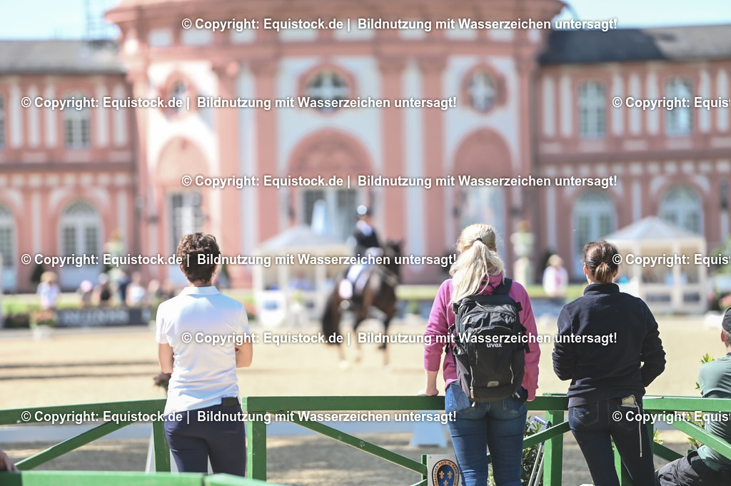 D78_3417 | equistock