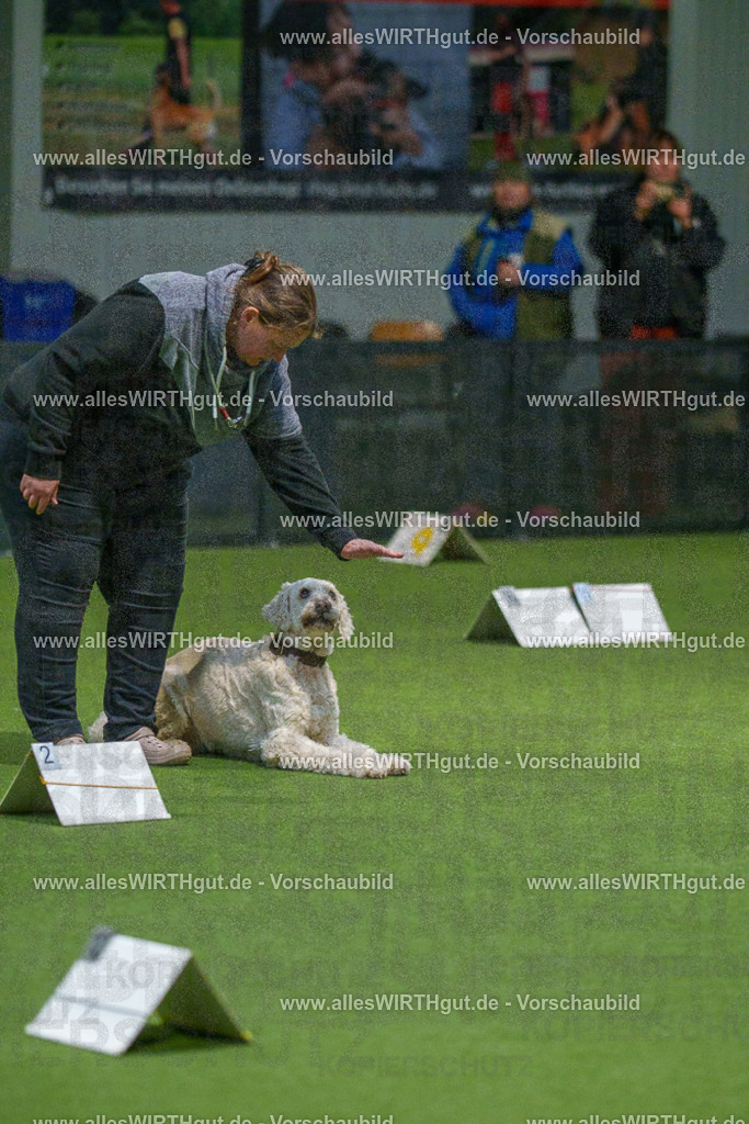 7R507488 | Professionelle Tierfotografie in Mönchengladbach von Daniel Wirth (allesWIRTHgut). Liebevolle & natürliche Bilder von Hunden & Katzen für unvergessliche Erinnerungen.