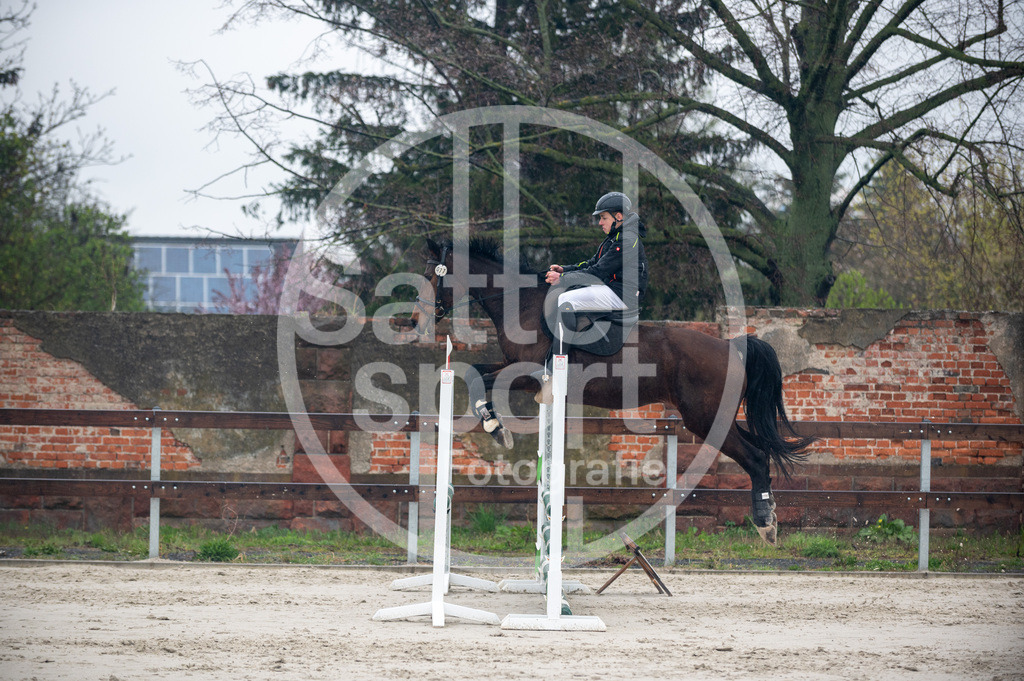 DSC_8840 | sattelsport - Realisiert mit Pictrs.com