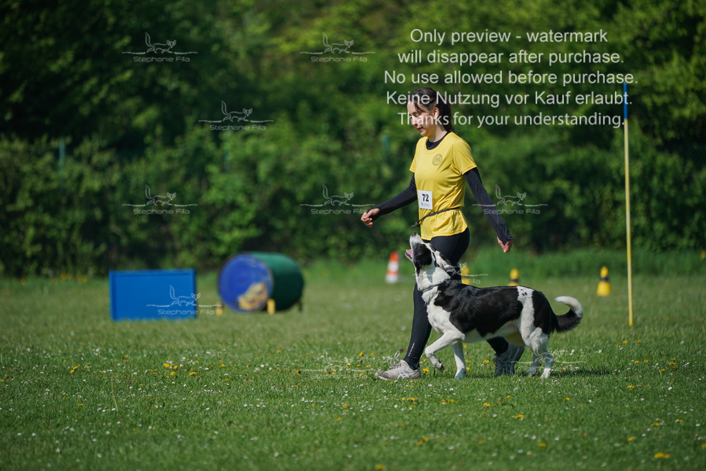 Sa_Gehorsam_Vormittag-22 | stephaniefillaphotographie - Realisiert mit Pictrs.com