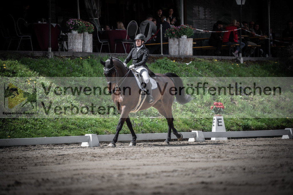 DSC_2865 | equestrian-live-com
