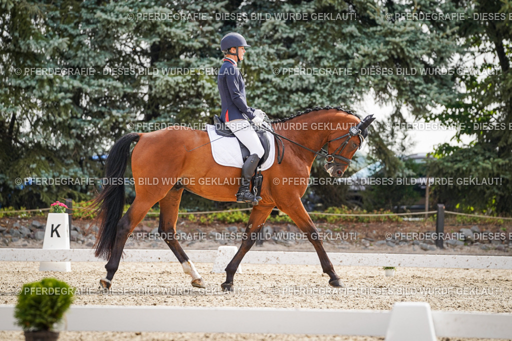 DSC07452 | Pferdegrafie