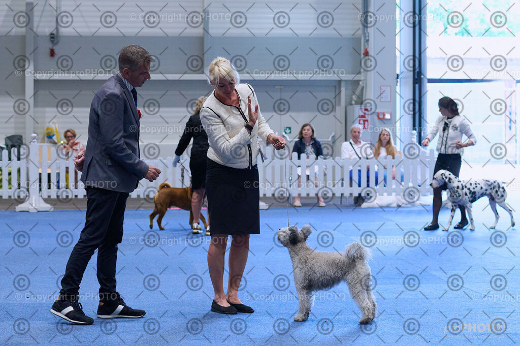 202406_ÖKV-IHA-Tulln24_DSC_4380 | proPHOTO - Realisiert mit Pictrs.com