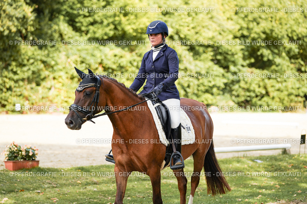 DSC02494 | Pferdegrafie