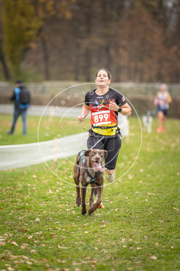 CaniXpix_DV3A6910 | Hundefotografie, Tierfotograf, Pfotenfotografie, Fotoshooting Hund, Hunde Portrait, Hundesport, Hundeportraits, Heideshooting, Hunde, Sportfotograf, Hundefotograf, Turnierhundsport, THS,  - Realisiert mit Pictrs.com