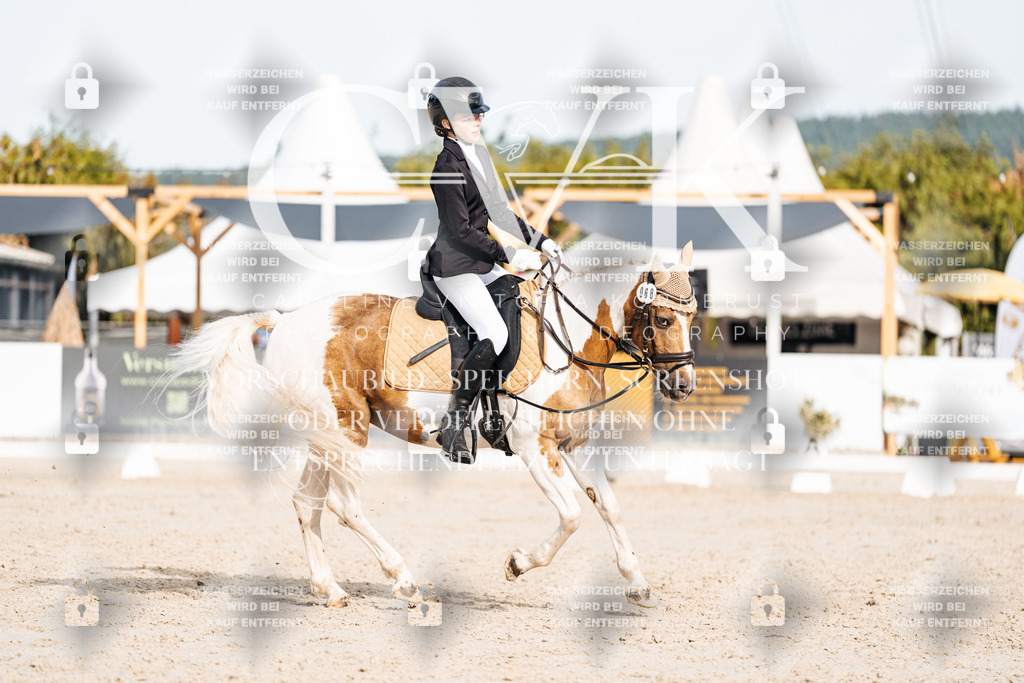 CK904797 | Turnierfotografie Pferdefotografie Trier Rheinland-Pfalz Pferdesport Reitsport Tierfotografie Sportfotografie Pferdevideo Pferdevideografie Equestrianvideography equestrianphotography  - Realisiert mit Pictrs.com
