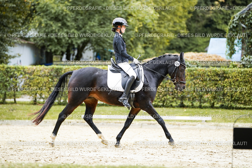 DSC09580 | Pferdegrafie