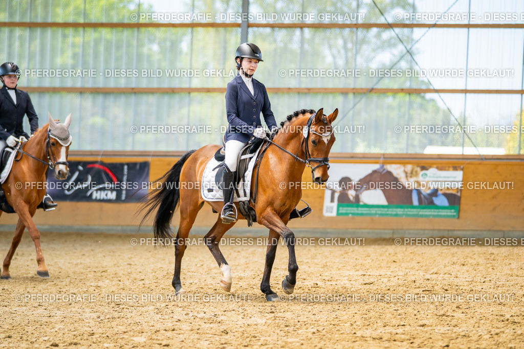 DSC08706 | Pferdegrafie