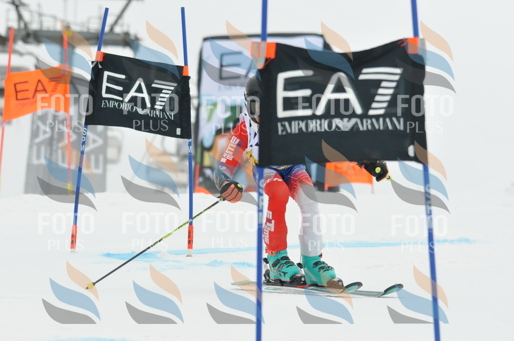 DSC_8439 | holidayphoto