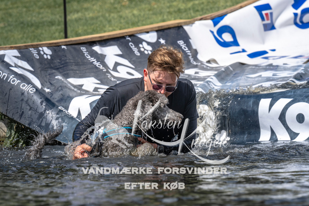 1114_ZZ91613 | kk-dogfotos
