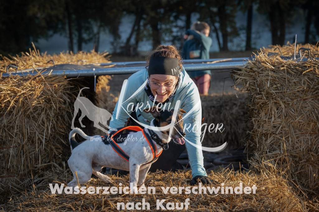 0911_ZZ91881 | kk-dogfotos