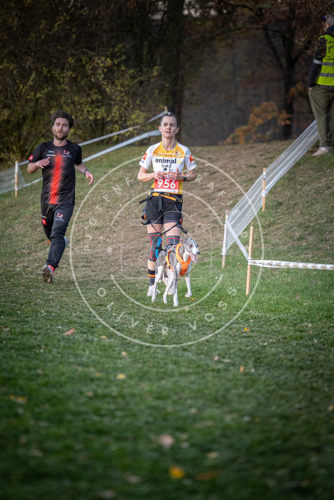 CaniXpix_0L8A2116 | Hundefotografie, Tierfotograf, Pfotenfotografie, Fotoshooting Hund, Hunde Portrait, Hundesport, Hundeportraits, Heideshooting, Hunde, Sportfotograf, Hundefotograf, Turnierhundsport, THS,  - Realisiert mit Pictrs.com