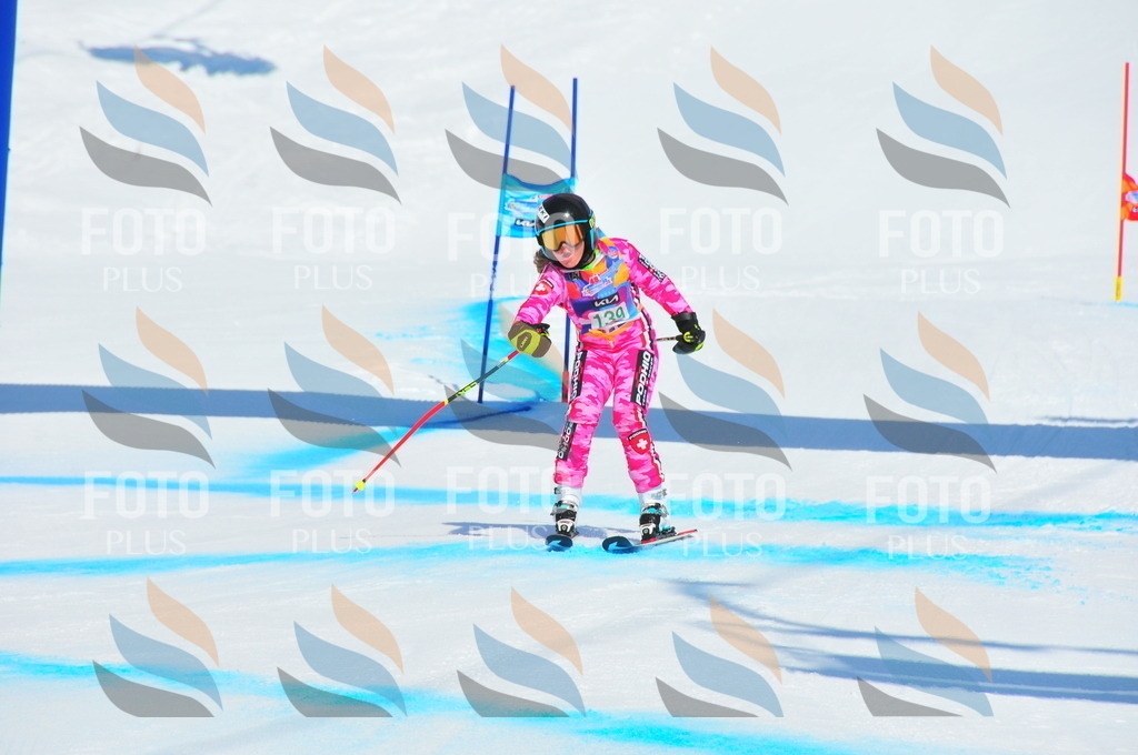 DSC_1148 | holidayphoto