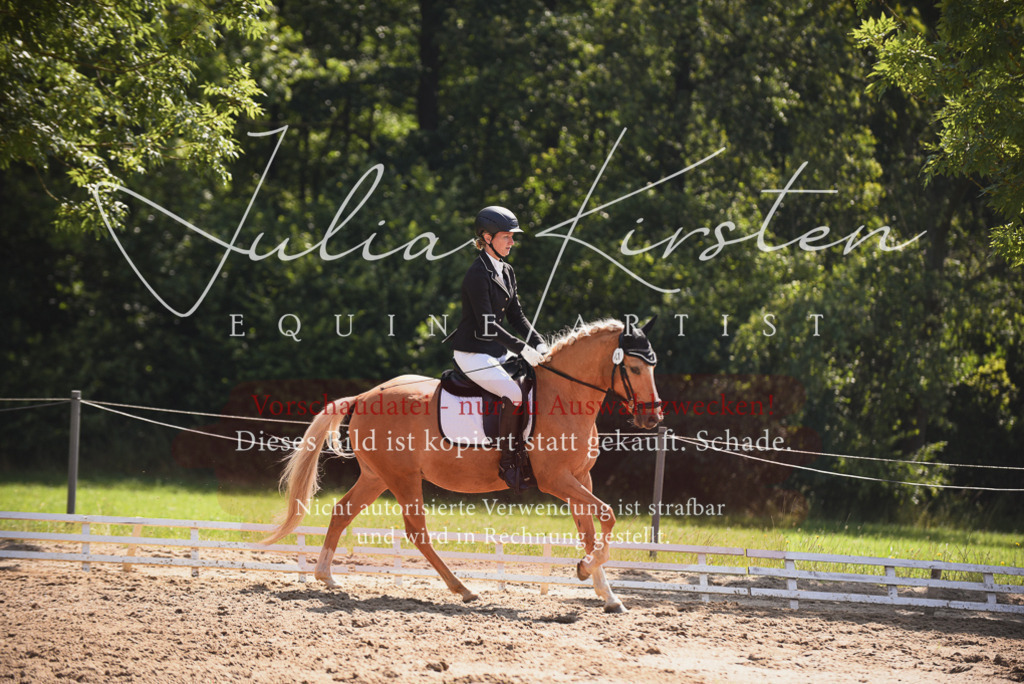 DSC_0608 | Pferde- und Turnierfotografie in Westsachsen. Pferdeportraits, Auftragszeichnungen und intuitive Kunst.