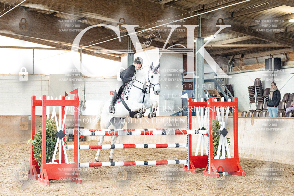 CK906273 | Turnierfotografie Pferdefotografie Trier Rheinland-Pfalz Pferdesport Reitsport Tierfotografie Sportfotografie Pferdevideo Pferdevideografie Equestrianvideography equestrianphotography  - Realized with Pictrs.com