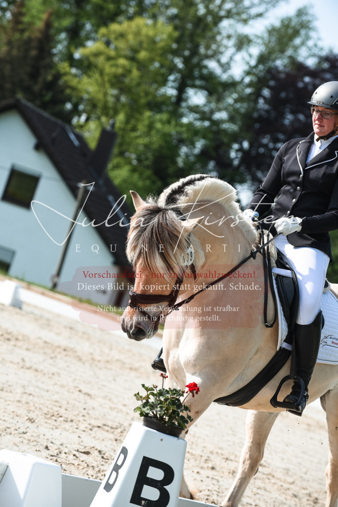 20230518_JK-Röhrsdorf-09-1088 | Pferde- und Turnierfotografie in Westsachsen. Pferdeportraits, Auftragszeichnungen und intuitive Kunst.