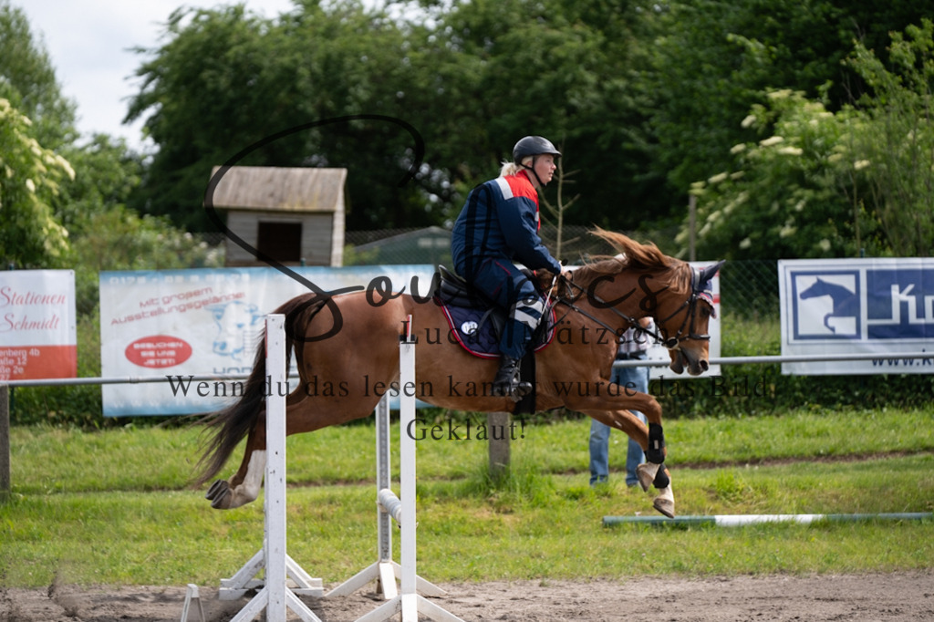 A7V04685 | Pferdefotograf