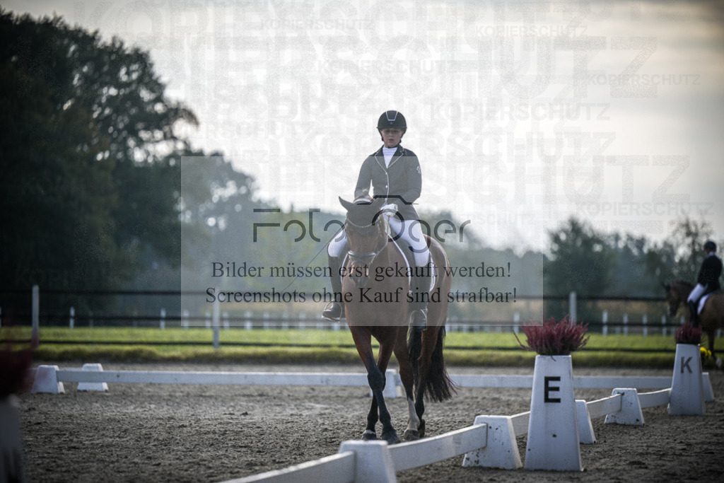 DOS_B007 | Entdecke hochwertige Reitturnierfotos von Foto Oger. Professionell, emotional und authentisch – jetzt Lieblingsmomente im Shop bestellen.Deutschlandweite Turnierfotografie. - Realisiert mit Pictrs.com