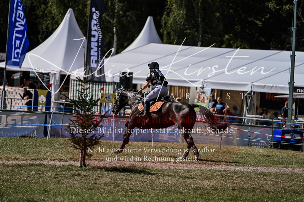 DSC_1784 | Pferde- und Turnierfotografie in Westsachsen. Pferdeportraits, Auftragszeichnungen und intuitive Kunst.