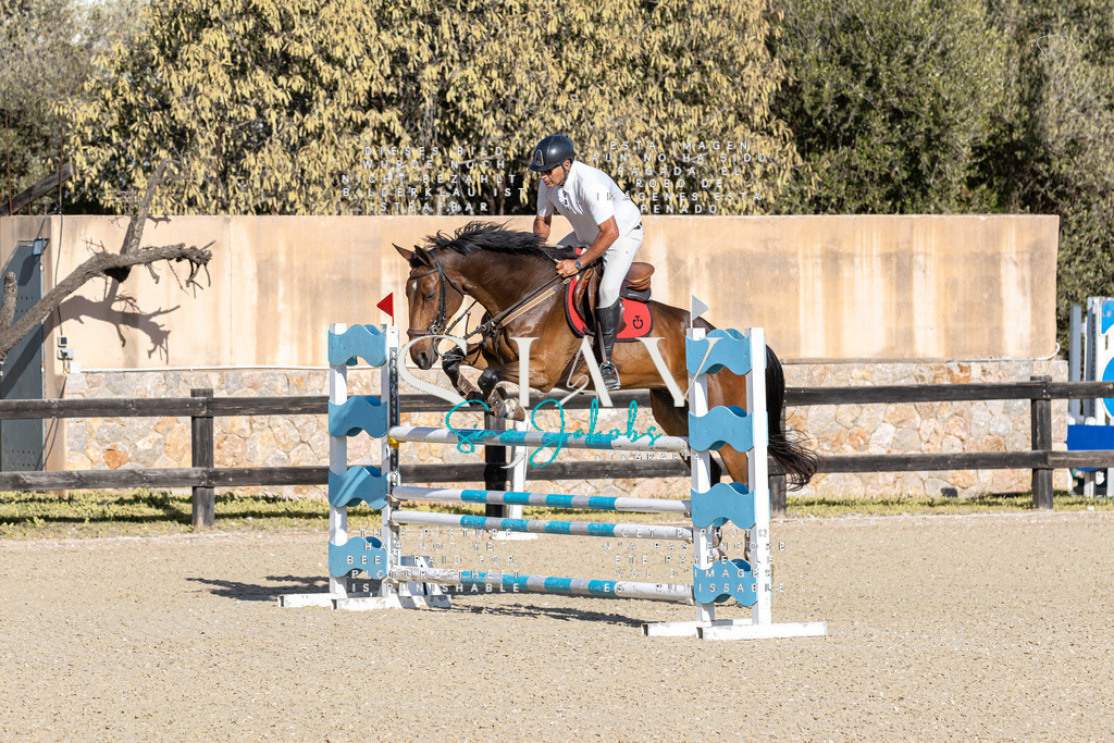 IMG_0052 | s-jay-photography - Realisiert mit Pictrs.com