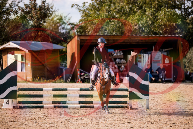 2026_10_03_Siefer-Hof_155806_Z81_77931859 | Professionelle Reitsport-, Turnier- und Eventfotografie von Robert Broda. Galerien mit ausgewählten und bearbeiteten Bildern direkt online ansehen und bestellen.
