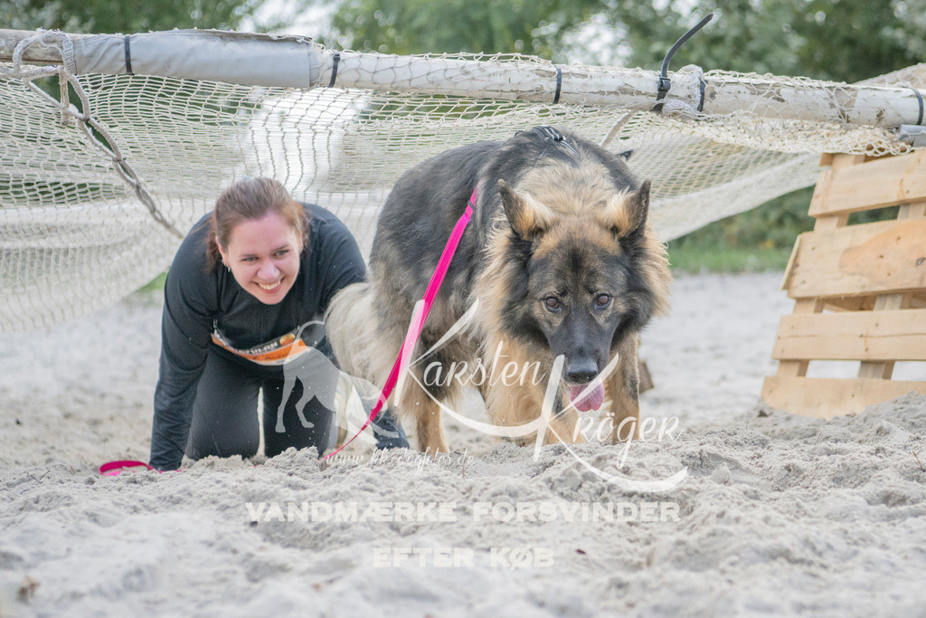 1400_ZZ99116 | kk-dogfotos