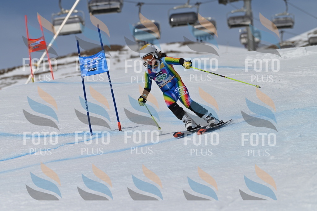 BGV_6872 | holidayphoto