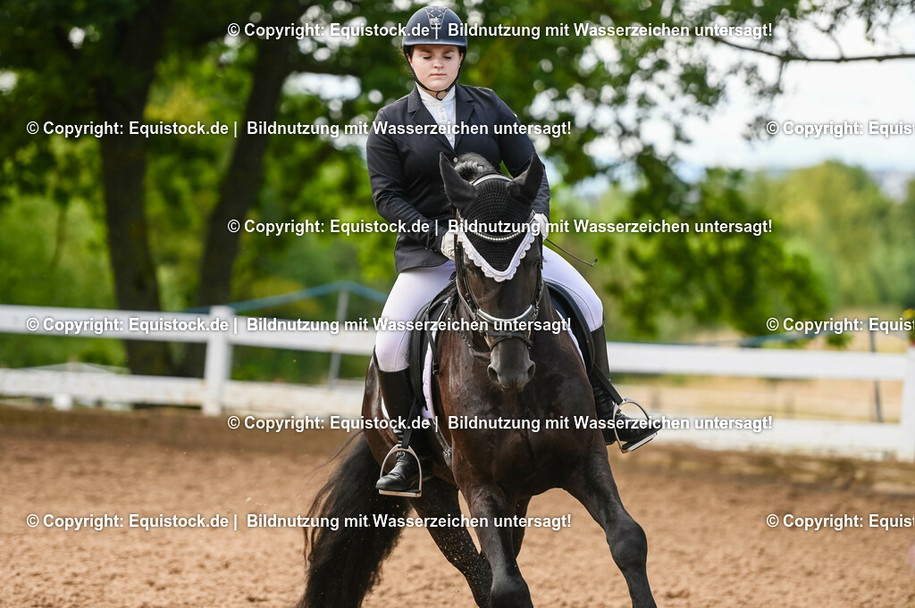 20230716_04_Dressurreiterprüfung Kl.A_0371 | equistock