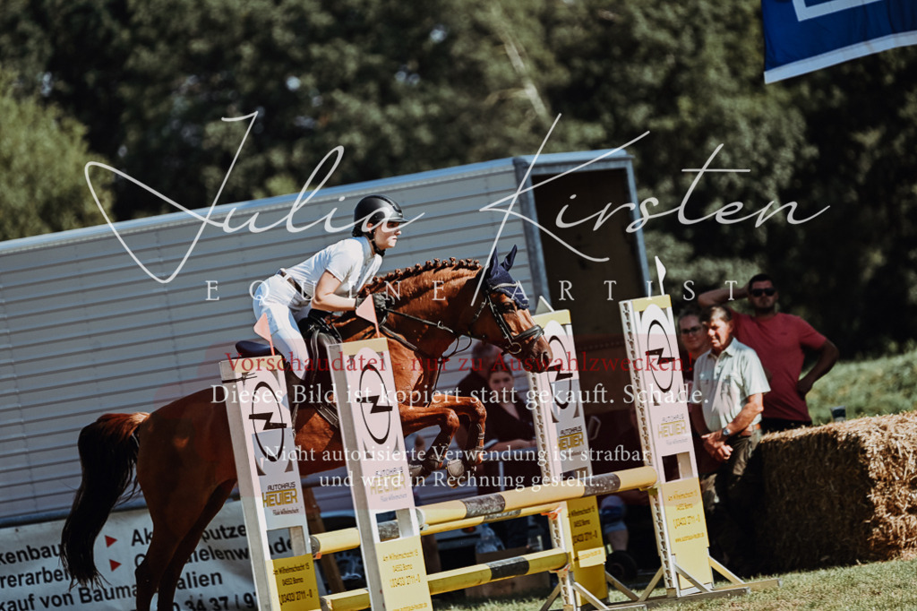 DSC_6882 | Pferde- und Turnierfotografie in Westsachsen. Pferdeportraits, Auftragszeichnungen und intuitive Kunst.