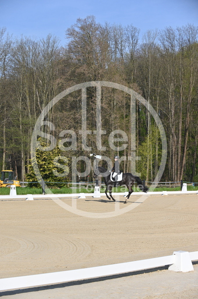 DSC_9922 | sattelsport - Realisiert mit Pictrs.com