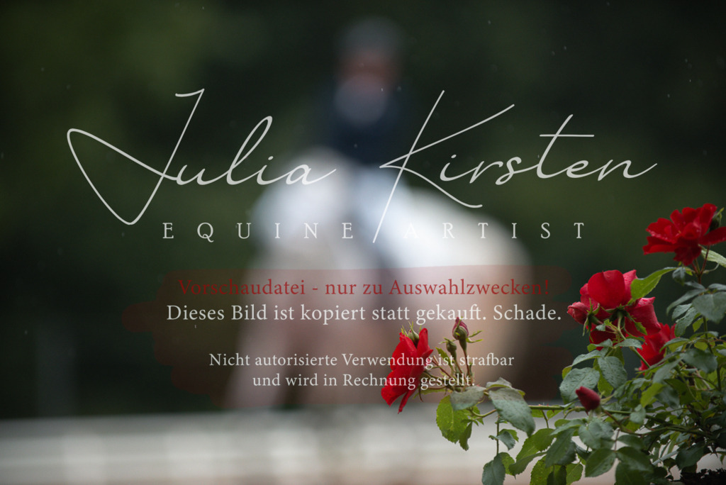 DSC_9698 | Pferde- und Turnierfotografie in Westsachsen. Pferdeportraits, Auftragszeichnungen und intuitive Kunst.