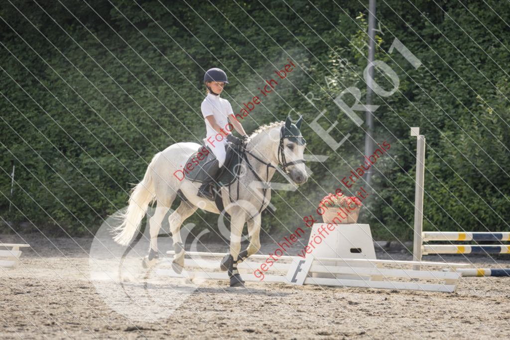 IMG_5855 | Sport-, Event- und Tierfotos in Profiqualität. Einfach auswählen, bestellen und herunterladen. Dein Moment – perfekt festgehalten.