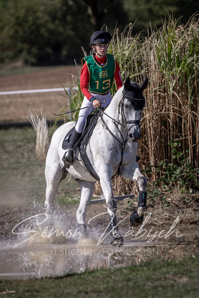 20260906-_3LI5883 | Tierfotografie Pferde, Hunde, Katzen, Haustiere.
Turnierfotografie Reitturniere, Reiten, Springreiten, Dressur in Hanau, dem Main-Kinzig-Kreis und dem Rhein-Main- Gebiet um Frankfurt