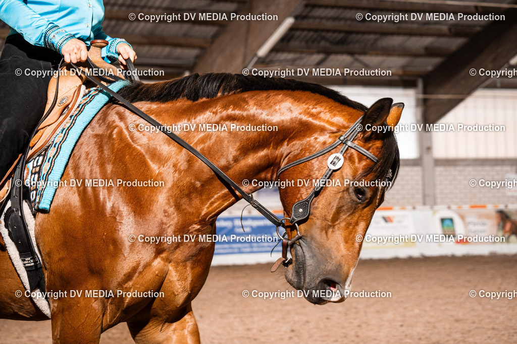 ZH100167 | dv-media-shop - Realisiert mit Pictrs.com