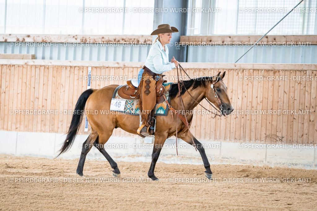 DSC07925 | Pferdegrafie