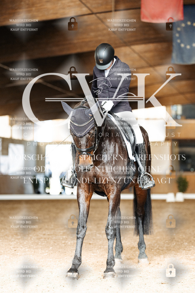 CK902102 | Turnierfotografie Pferdefotografie Trier Rheinland-Pfalz Pferdesport Reitsport Tierfotografie Sportfotografie Pferdevideo Pferdevideografie Equestrianvideography equestrianphotography  - Realisiert mit Pictrs.com