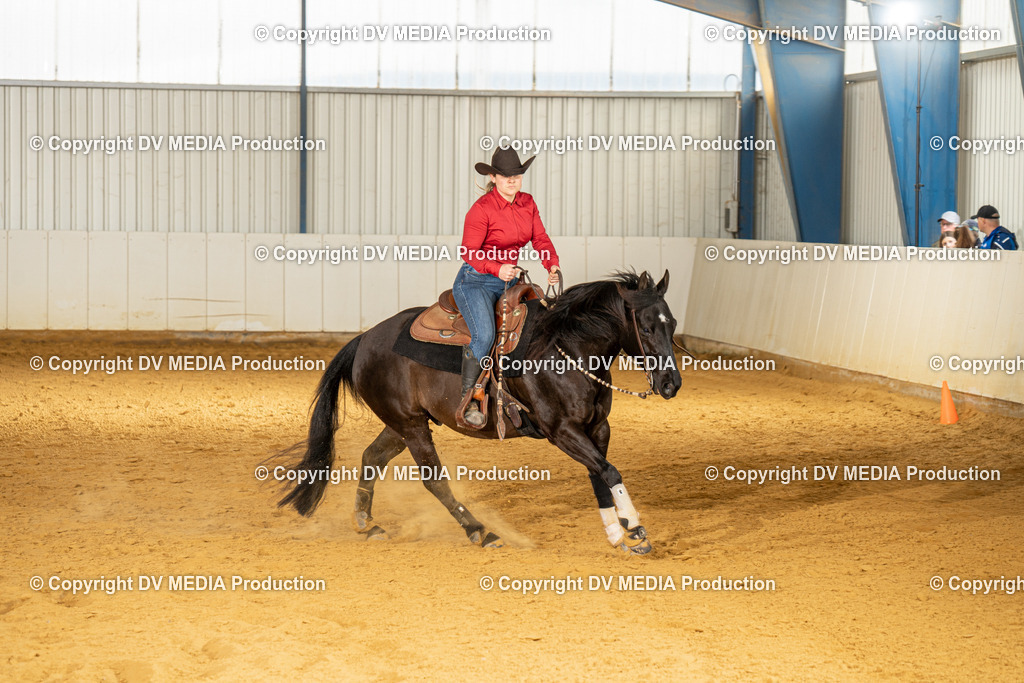 MIT01122 | dv-media-shop - Realisiert mit Pictrs.com