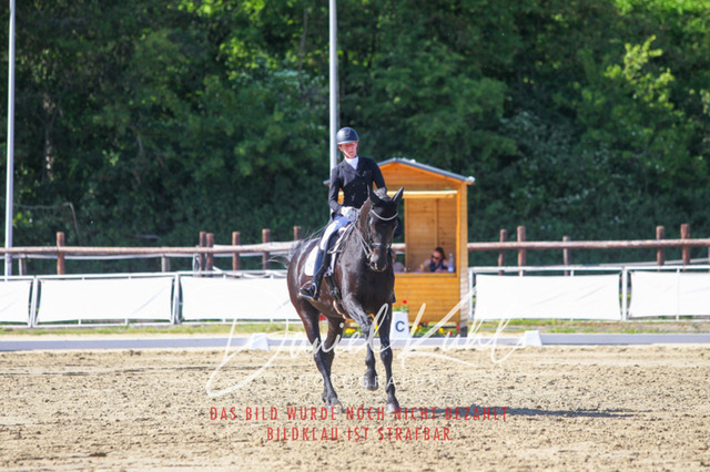 DKP42531 | Turniersportfotografie; Pferdefotografie; Dressurfotografie
