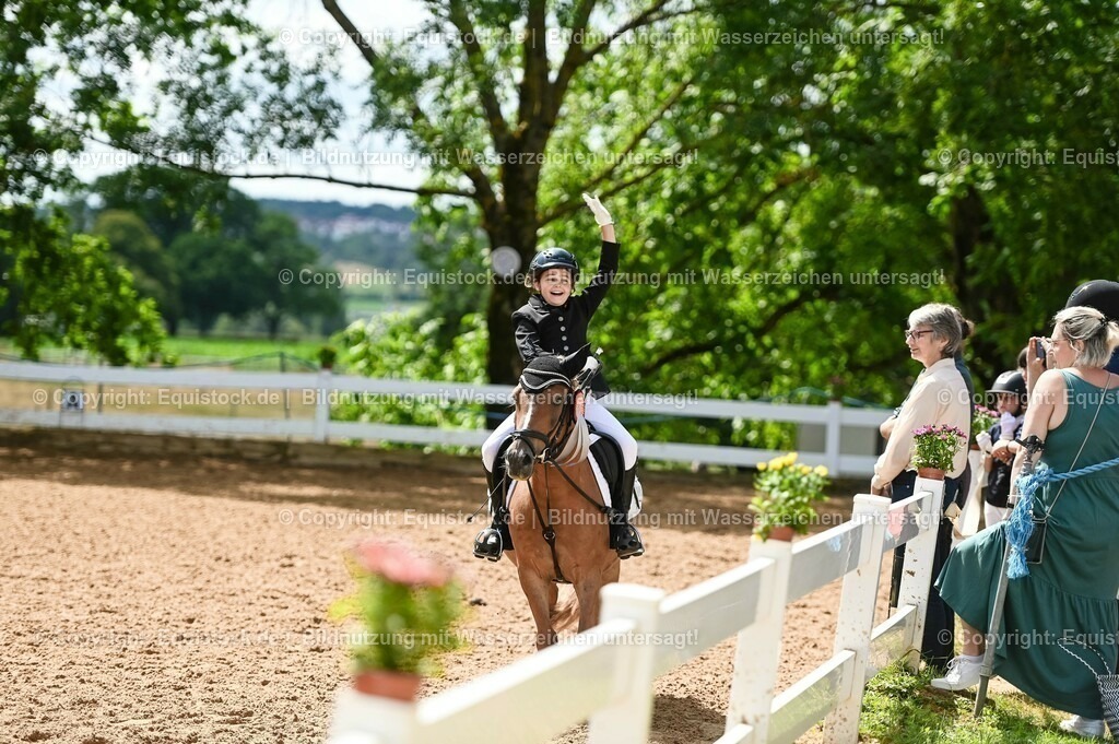 20230716_10-3_Reiter-WB Schritt - Trab - Galopp_0268 | equistock