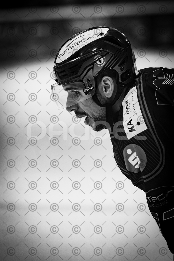 Alligators_vs_Erding_12_12_2025-134 | Höchstadt Alligators Fotogalerie: Eishockey-Action aus Franken. Professionelle Spielfotos, Portraits & Stadionbilder zum Download. Jetzt entdecken! - Realisiert mit Pictrs.com