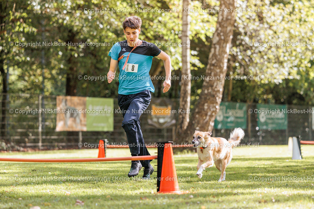 THS-HSV-Blumenthal-2026-Nickbest-Hundefotografie-3582 | Dein Hund! Dein Moment! Deine Erinnerungen! Hundefotografie in Bremen Blumenthal. Ich fange die besonderen Momente deines Vierbeiners ein – ob Indoor mit Blitzanlage oder in der freien Natur. Sicher dir dein Moment und dein Termin für eure Erinnerungen.