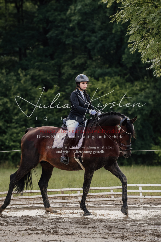 DSC_8565 | Pferde- und Turnierfotografie in Westsachsen. Pferdeportraits, Auftragszeichnungen und intuitive Kunst.