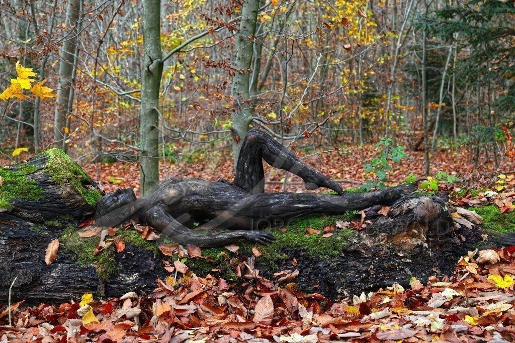 NatureArt-KLÜTLAUB_R2981b | Ruhend auf dem Stamm | #009 | Modell: Tatjana Heinz | Foto: Tschiponnique Skupin - Realisiert mit Pictrs.com