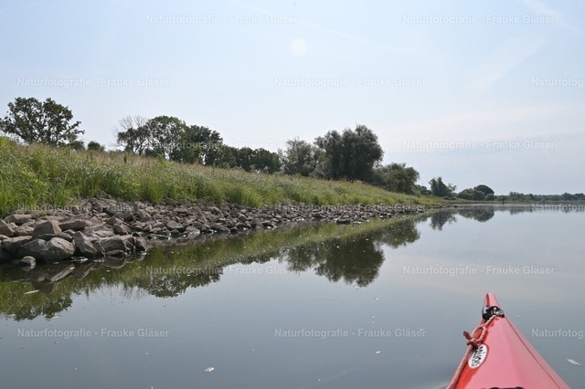 F.Gläser_1017 | Naturfotografie Frauke Gläser - Realisiert mit Pictrs.com