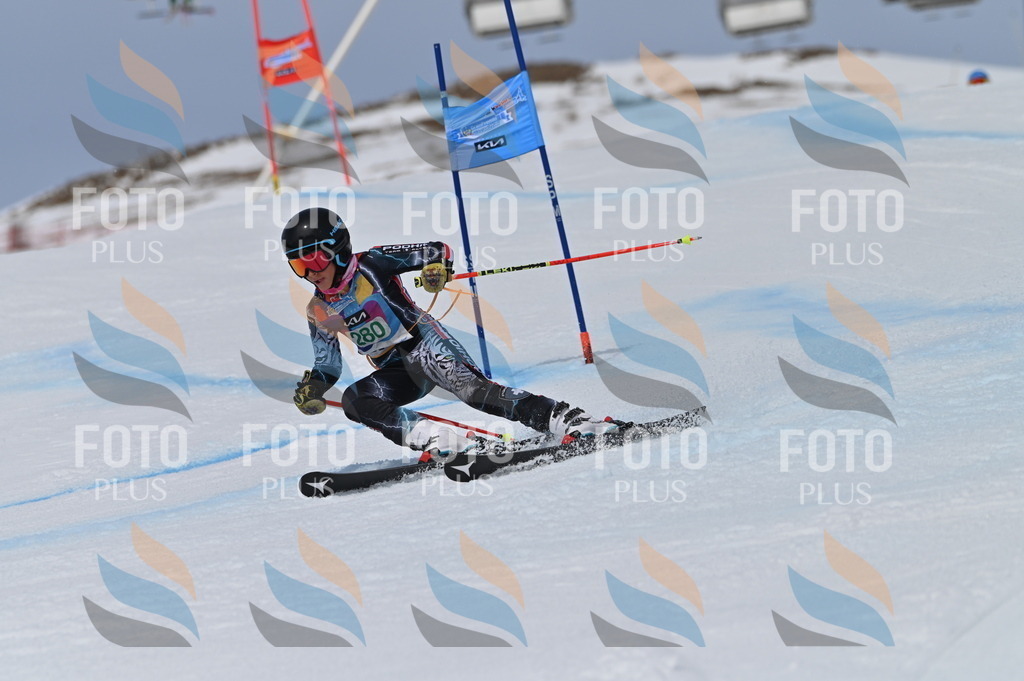 BGV_5575 | holidayphoto