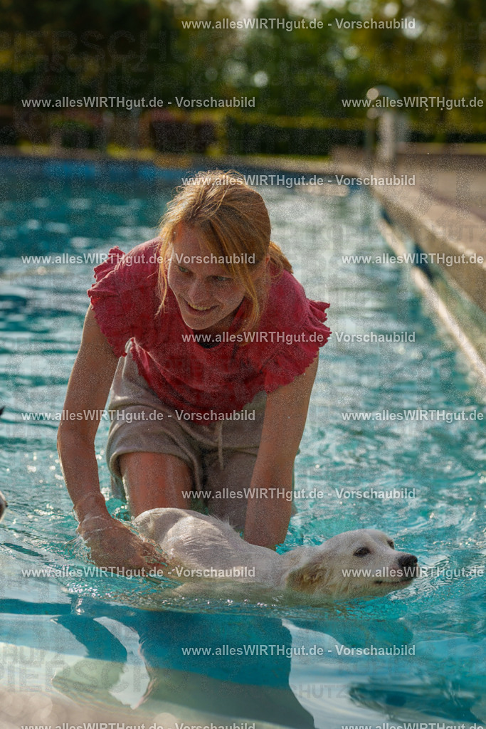 Hundeschwimmen_Grefrath_2026-allesWIRTHgut_Tierfotografie-15_37-7R509422 | Professionelle Tierfotografie in Mönchengladbach von Daniel Wirth (allesWIRTHgut). Liebevolle & natürliche Bilder von Hunden & Katzen für unvergessliche Erinnerungen.