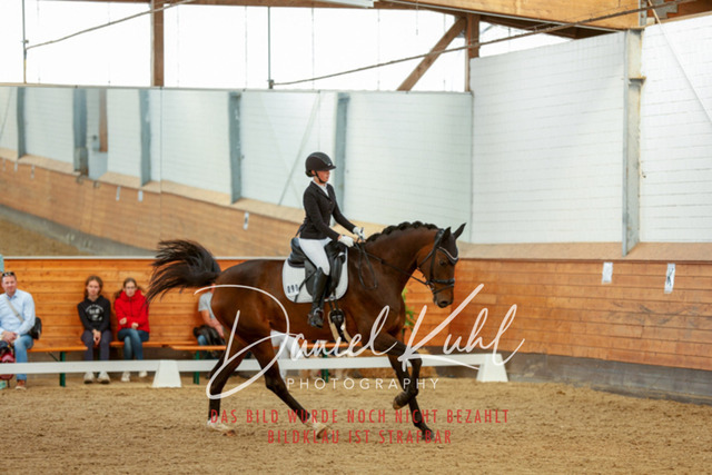 _62_7677 | Turniersportfotografie; Pferdefotografie; Dressurfotografie