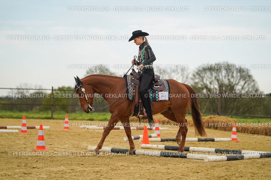 DSC02720 | Pferdegrafie